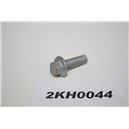 985181 Volvo screw m6x20