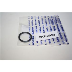 30699204 Volvo seal o-ring