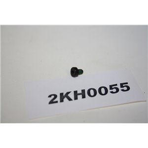 30667919 Volvo skruv 
