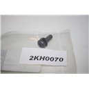 7703006289 Renault screw M6