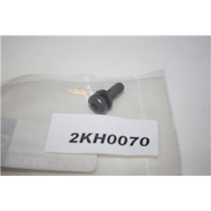 7703006289 Renault bult skruv M6