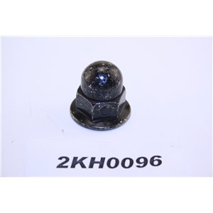 985906 Volvo nut