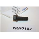 1232012 Ford screw M8 W709595S300