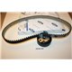1201255 Ford kit timing timing belt  tensioner roll