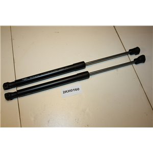 904600001R Renault Laguna gas spring rear window