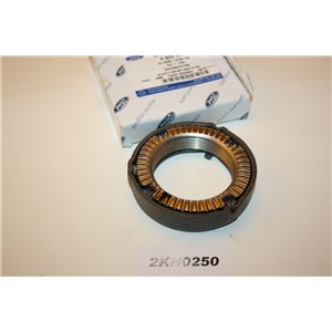 4825975 Ford nut special