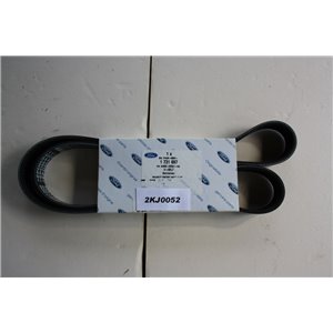 1731697 Ford, Volvo drive belt 6PK1306