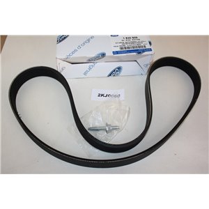 1830909 Ford drive belt 6PK1019
