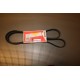 1320286 Ford Escort drivrem