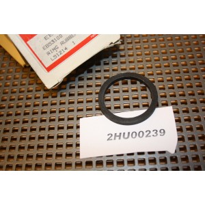 242110 Escort Galaxy Sierra Scorpio Transit t&auml;tning