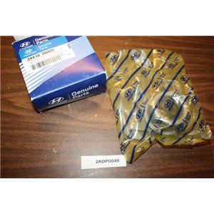 2441026000 Hyundai Accent tensioner