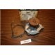 Datsun Bluebird 510 water pump