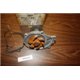 Datsun Bluebird 510 water pump