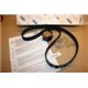 1380026 Ford Focus kamrem kit