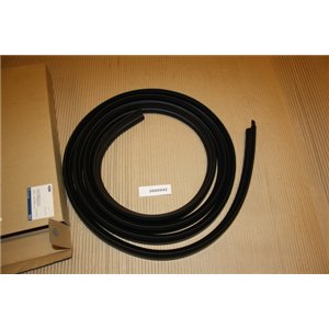 1757175 Ford Focus weather strip