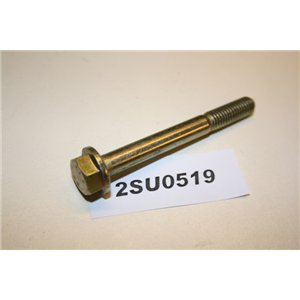6175265 Ford M8x70 bult