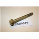6175265 Ford M8x70 bolt