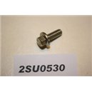 4380670 Ford M6x16 bult