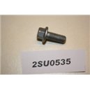 1381661 Ford M8x20 bult
