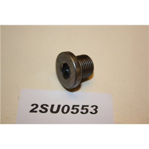 1681599 Ford Focus Kuga Mondeo S-Max Galaxy oil plug