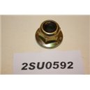 6194243 Ford M10 nut