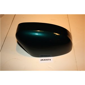 1539394 Ford Focus cover door mirror