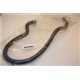 1384596 Ford Transit hose
