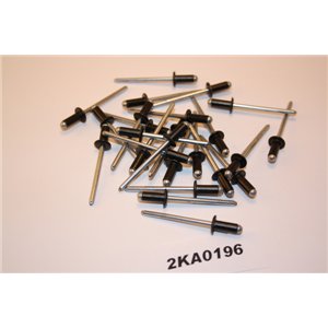 1063412 Ford Focus Kuga Transit Connect rivet