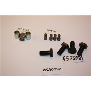 6578818 Focus Fiesta Ka Escort bult styrstift styrhylsa