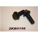 987449 Volvo screw M10x30