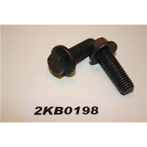 987449 Volvo screw M10x30
