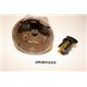 7701407309 Renault distributor cap and rotor