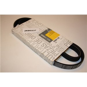 8200841132 Renault Dacia drivebelt 5PK1110
