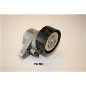 8200603359 Renault tensioner with idler roller