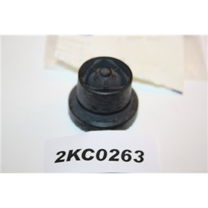 1555641 Ford grommet Mondeo Focus Kuga  S-Max Galaxy