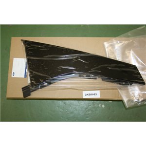 1748645 Ford Focus moulding