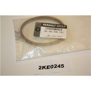 8200236731 Renault seal