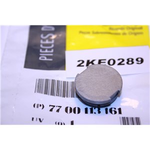 7700113161 Renault plugg