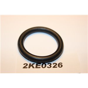 1254375  Ford Volvo o-ring intake