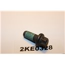 1732713 Ford bolt screw M8x20