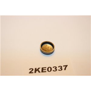 1517888 Ford Pinto plugg 15x5mm