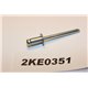 4743584 Ford rivet