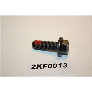 985048 Volvo bolt M10x30 