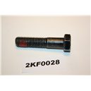 987186 Volvo S70 V70  C70  850 bult m12x55mm