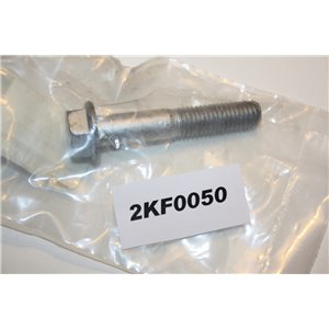 7703102090 Renault Dacia bult m12x65mm