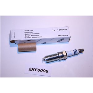 1202935 Ford RS Motorcraft AYFS22FE1J NGK PLTR6A-106 t&auml;ndstift