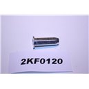 6815611 Ford mutter plugg