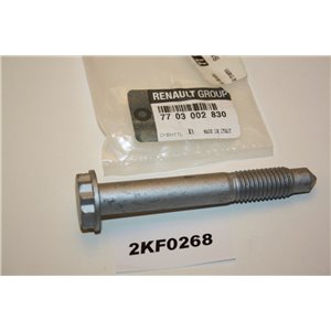 7703002830 Renault bolt screw M14 special