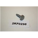 985582 Volvo S60,S80, V70, XC90 screw special