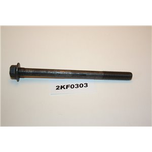 982831 Volvo bult M10x130mm